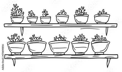 Succulent plants in small pots arranged on wooden shelves, cute indoor garden collection – hand drawn vector illustration