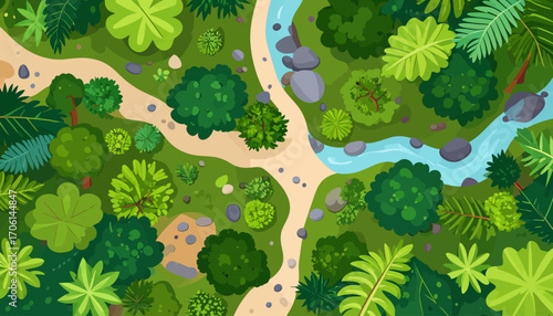Forest Stream Aerial View of Path through Lush Green Trees