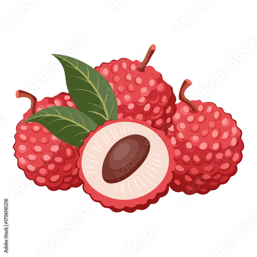 Fresh lychee. Sweet and juicy tropical fruit. Botanical illustration.