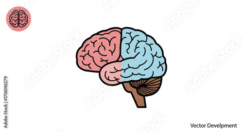 human brain vector