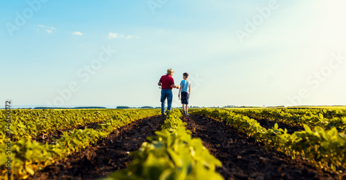 Rear view of senior farmer with his grandson walking in green soybean field examining crop at sunset.
