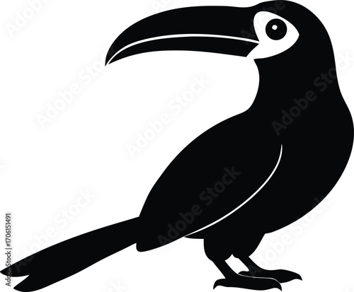 tropical toucan bird vector art
