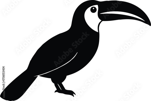toucan bird silhouette vector illustration
