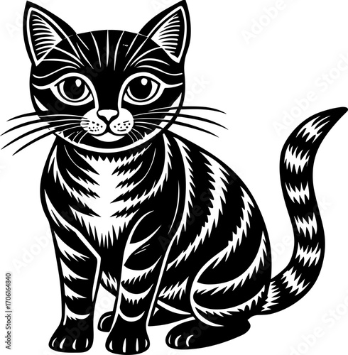 black and white cat