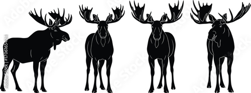PrintSilhouettes of Moose with Antlers Standing in Various Poses, Wildlife Animal Vector Illustration for Nature, Forest, and Hunting Concepts