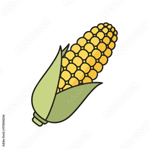 Freshly harvested corn on the cob with vibrant yellow kernels and green husks against a plain background