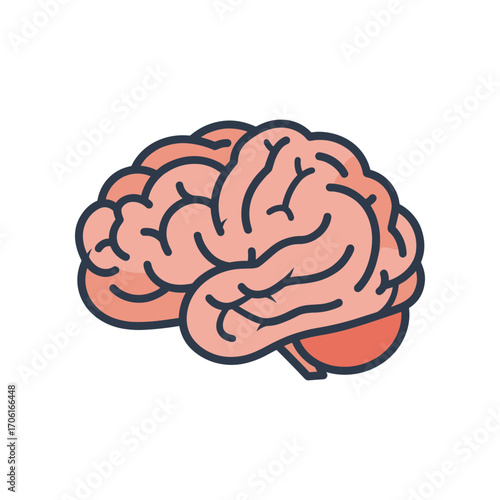 Illustration of a human brain showcasing neural connections against a plain background