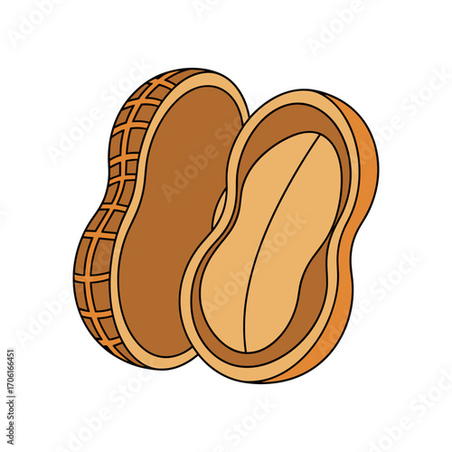 Illustration of a split peanut showing the shell and nut inside, ideal for food-related content