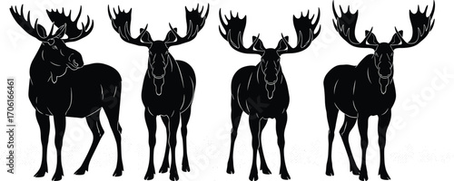 PrintVector Silhouettes of Moose with Large Antlers in Standing Poses for Wildlife, Nature, and Animal Illustration Design Projects