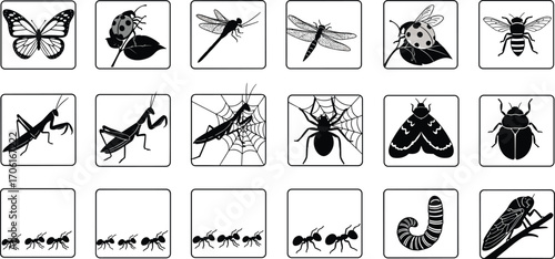 Vector set of insect icons including butterflies, ants, ladybugs, spiders, bees, dragonflies, moths, and beetles for educational design