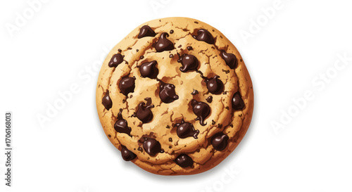 A single delicious classic chocolate chip cookie isolated.