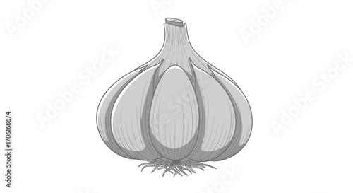 Simple grayscale illustration of a whole garlic bulb.