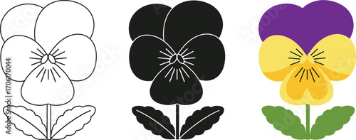 Three Pansy Flowers in Varied Styles Isolated on White Background
