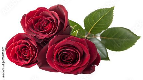 Wallpaper Mural Three deep red roses with green leaves isolated on transparent background Torontodigital.ca