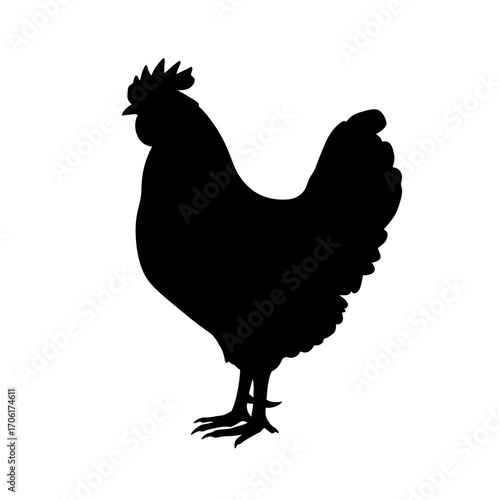Silhouette of a proud rooster standing with its tail feathers fanned out against a white background