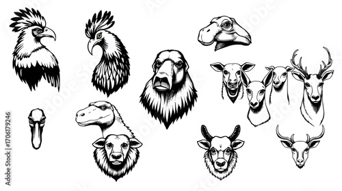 Collection of animal head illustrations: eagle, rooster, llama, sheep, deer, goat, and other livestock. Black and white vector graphics.