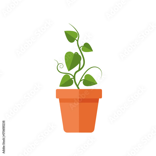A vibrant green plant growing in a terracotta pot, symbolizing nature's beauty indoors