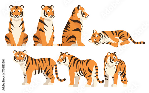 Vector illustration of a tiger in various poses and angles