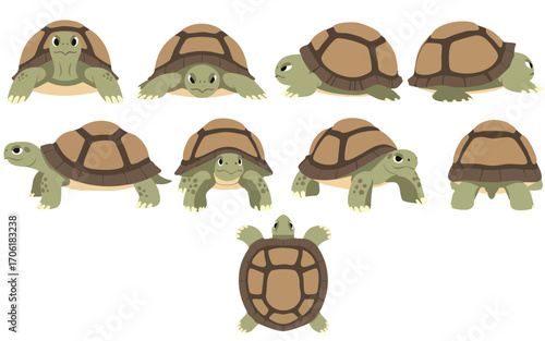Minimalist vector of a turtle in various poses and angles