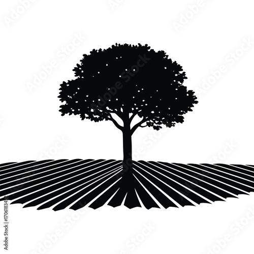 aerial view of lone tree in field isolated on white background