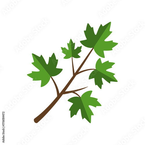 Green leafy branch with multiple vibrant leaves against a white background, ideal for nature themes