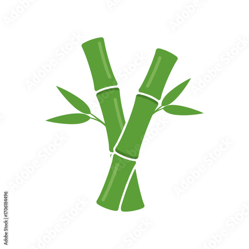 Green bamboo stalks intertwined with leaves against a white background, representing nature