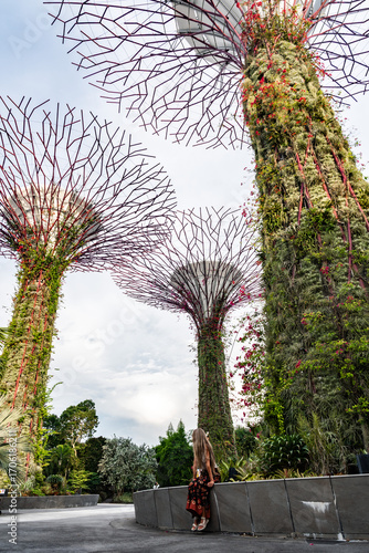 Tourist admiring supertree grove in gardens by the bay, singapore