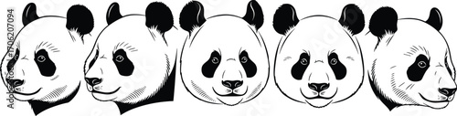 Panda bear head illustration set, black and white wildlife graphic, cute endangered animal art, vector clipart for nature and conservation design