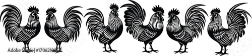 Vintage rooster silhouette illustration set, farm animal design, crowing chickens artwork, rustic barnyard poultry graphic, black and white decorative clipart