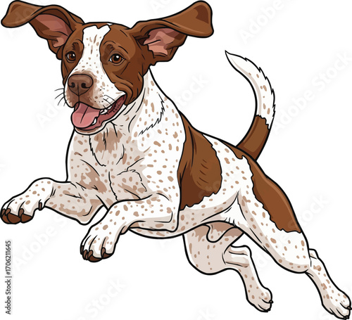 Braque du Bourbonnais dog playful jumping vector illustration