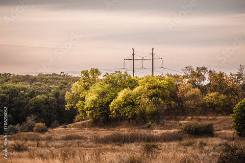 Electrical transmission tower in the middle of a forest landscape.