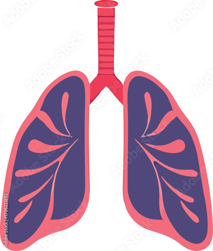 Anatomy of Human Lungs with Trachea