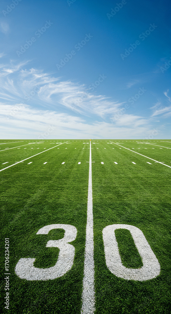 Obraz premium Eye-level full shot of a well-marked American football field with vibrant grass