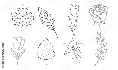 Floral and Leaf Line Art Collection  Minimalist Botanical Vector Illustrations