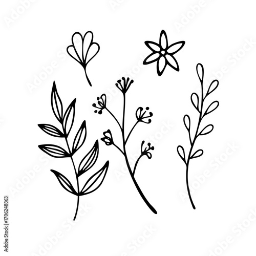 Floral Collection Delicate Botanical Illustrations for Creative Designs
