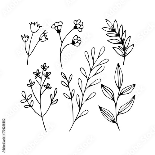 Floral Outline Delicate Botanical Line Art Design Elements for Creative Projects