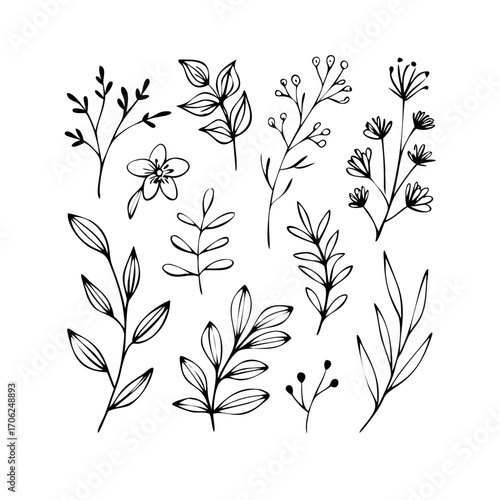 Collection of Hand-Drawn Botanical Elements and Floral Doodles