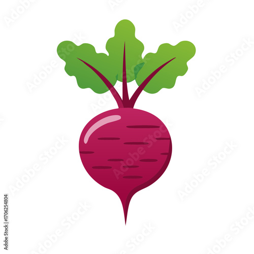 Stylized Illustration of a Fresh Beet with Green Leaves