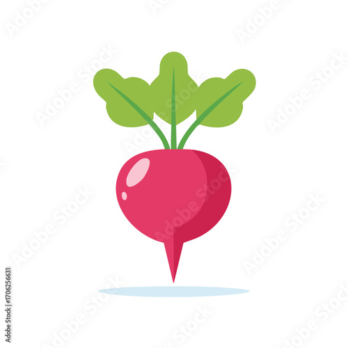 Illustration of a Fresh Red Beetroot Vegetable with Green Leaves Growing from the Top