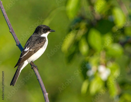 Small bird perched on a branch, vibrant green background