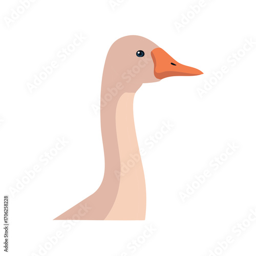 Elegant goose head and graceful long neck illustration with orange beak in profile