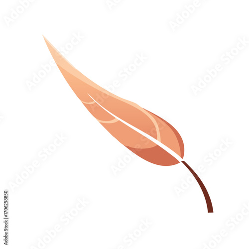 Elegant decorative feather design with subtle color gradients, perfect for minimalist themes