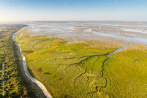 La progression de la spartine en Baie de Somme