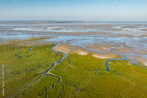 La progression de la spartine en Baie de Somme