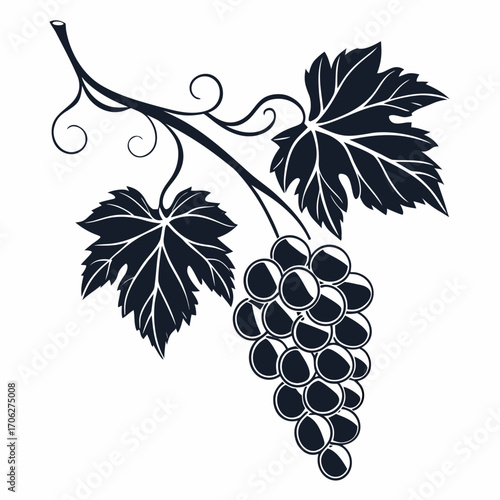 Stylized dark silhouette of a grape vine branch with leaves and a bunch of grapes against a white background