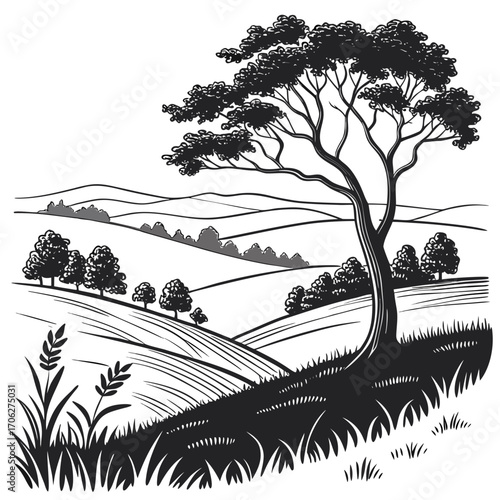 A solitary majestic tree stands tall on a rolling hillside overlooking a picturesque landscape of contoured fields and distant trees in a charming black and white illustration