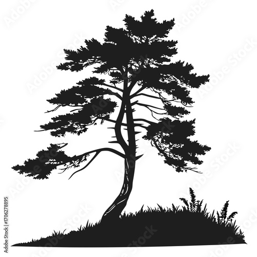 A solitary pine tree silhouette stands tall on a grassy knoll against a stark white background showcasing its intricate branches and needles