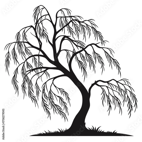 A striking black silhouette of a weeping willow tree with gracefully drooping branches and delicate leaves against a clean white background