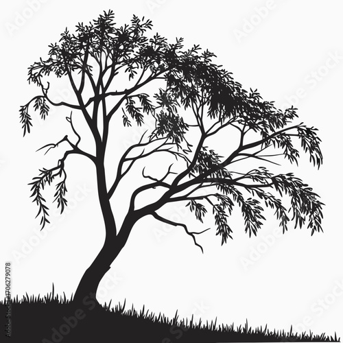A solitary silhouette of a deciduous tree with flowing branches and abundant leaves stands on a grassy hill against a pure white background