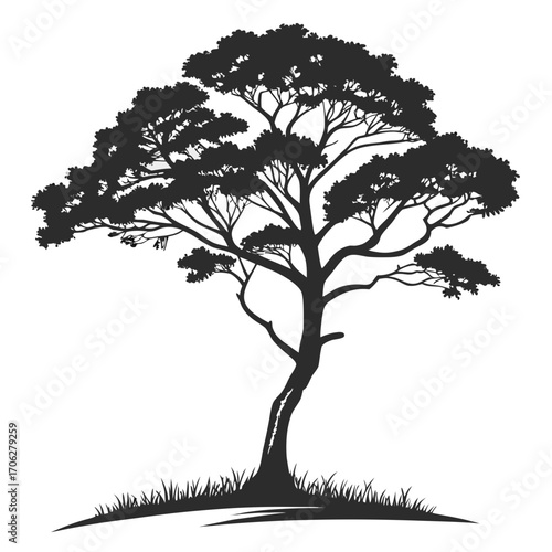 Silhouette of a solitary acacia tree with lush foliage and a textured grassy base against a clean white background